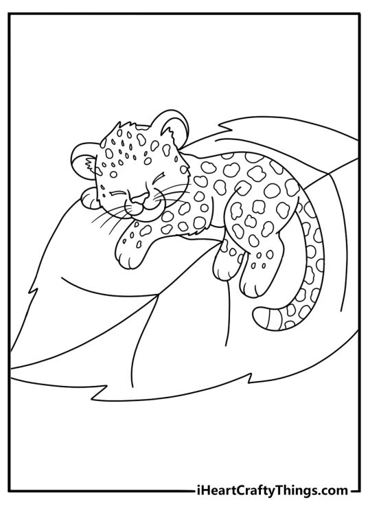 Baby leopard sleeping on large leaf cute coloring page for kids