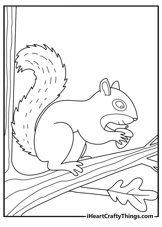 Baby squirrel coloring page with a young squirrel learning to nibble a hazelnut