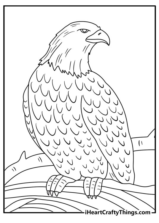 Bald Eagle coloring page with a bald eagle guarding a nest in a tall pine
