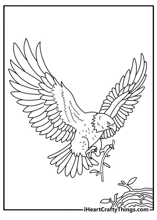 Bald Eagle coloring page with an eagle carrying a branch to its nest