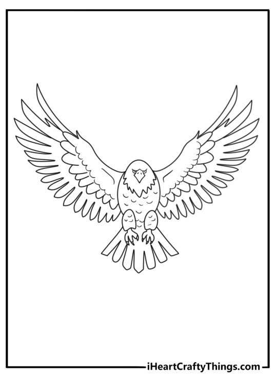 Bald Eagle coloring pages for adults with feather patterns inside an eagle shape