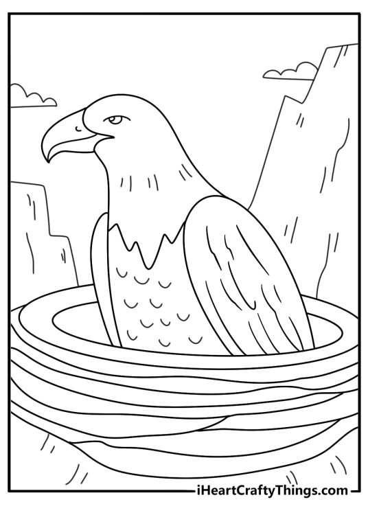Bald Eagle coloring pages scene with eaglets inside a nest on a cliff