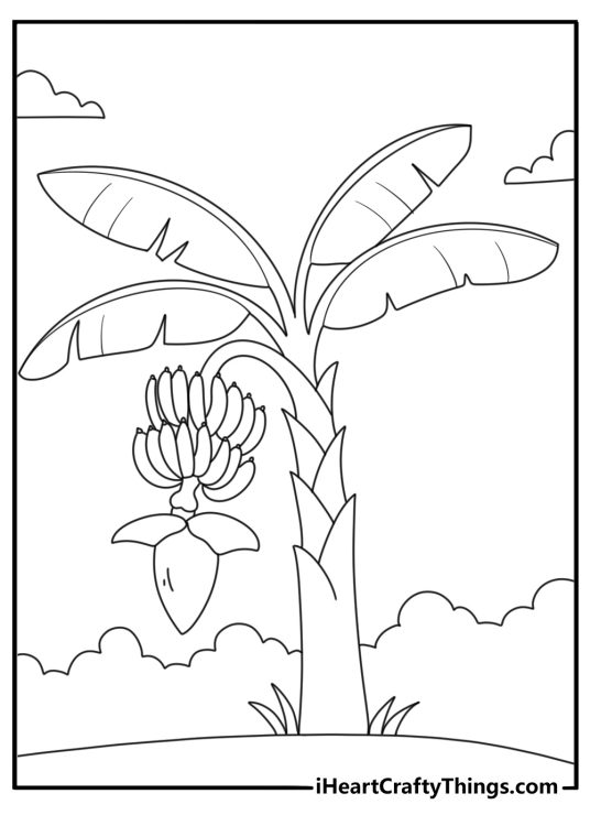 Banana coloring page printable with a bunch hanging from a banana tree