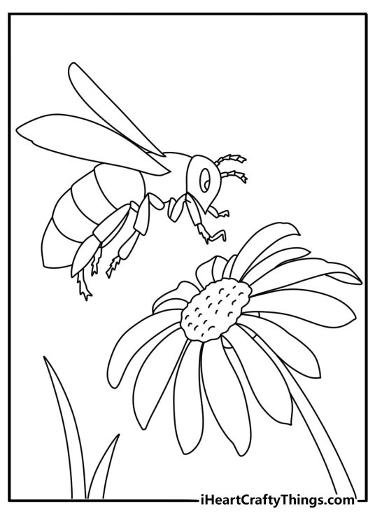 Bee coloring pages for preschoolers with a simple bee near a daisy