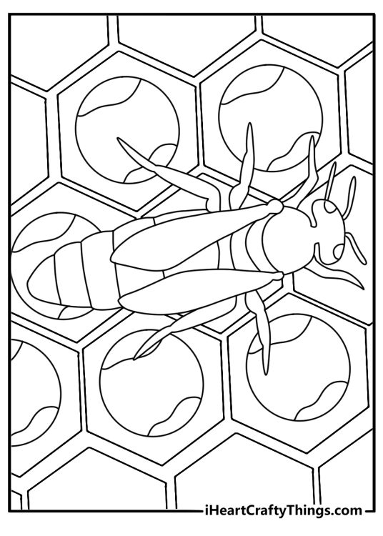 Bee coloring sheet printable with a queen bee beside eggs in a wax cell