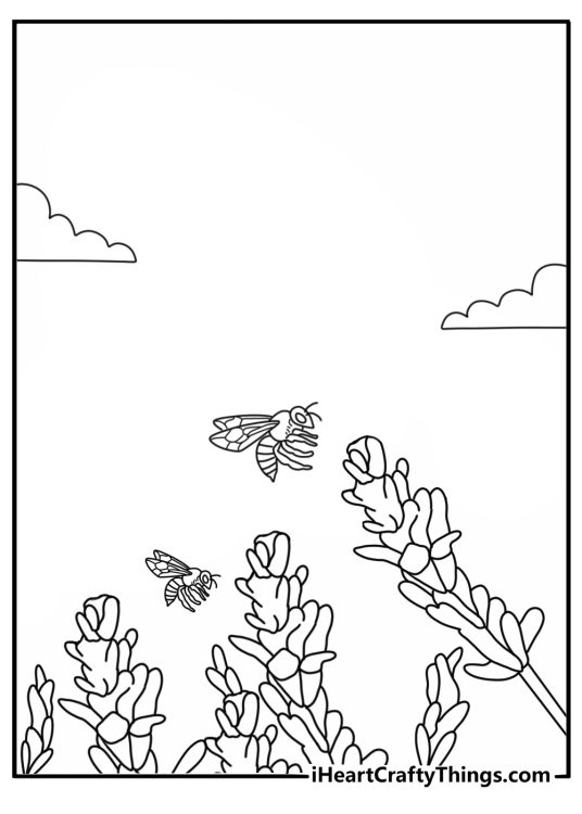 Bee on a flower coloring page with a striped bee landing on lavender