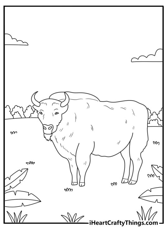 Bison on forest meadow detailed coloring page pdf