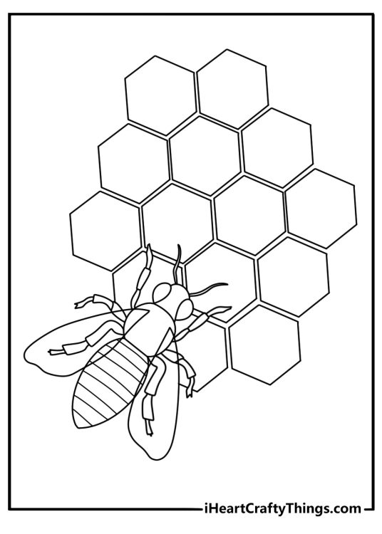 Black and white bee coloring page of a bee making honey inside honeycomb