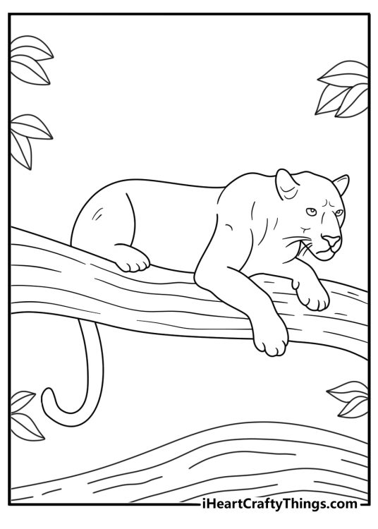 Black jaguar coloring page with sleek panther form on tree branch