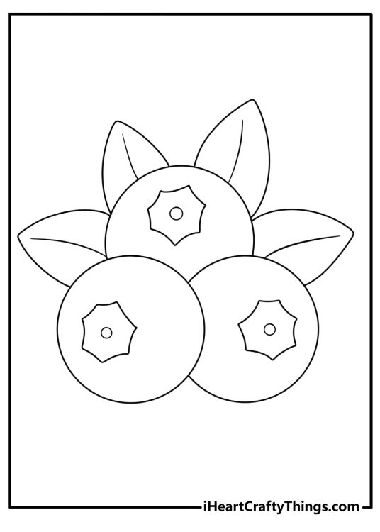 Blueberry cluster with small leaves easy fruit coloring page