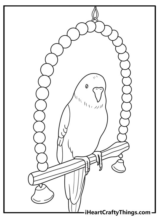 Budgie parakeet coloring page playing with a hanging bell toy easy for kids
