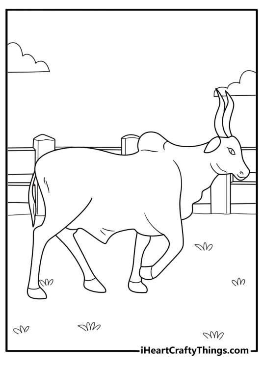 Bull walking near fence detailed coloring page for adults