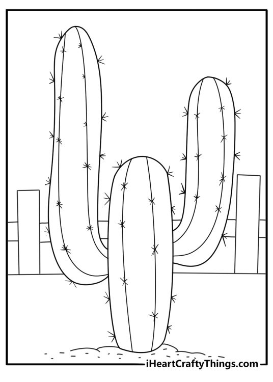 Cactus beside wooden fence in desert cactus coloring pages printable
