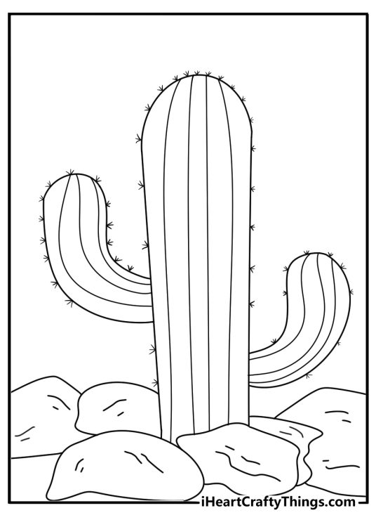 Cactus cluster growing between rocks free cactus coloring pages