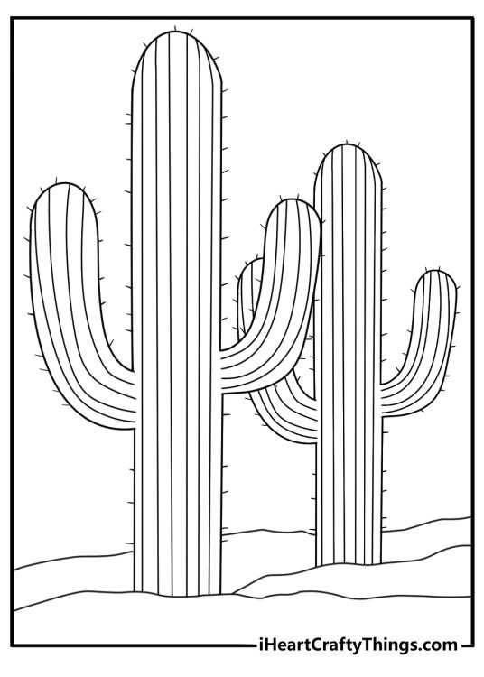 Cactus farm rows in desert field free printable cactus coloring pages