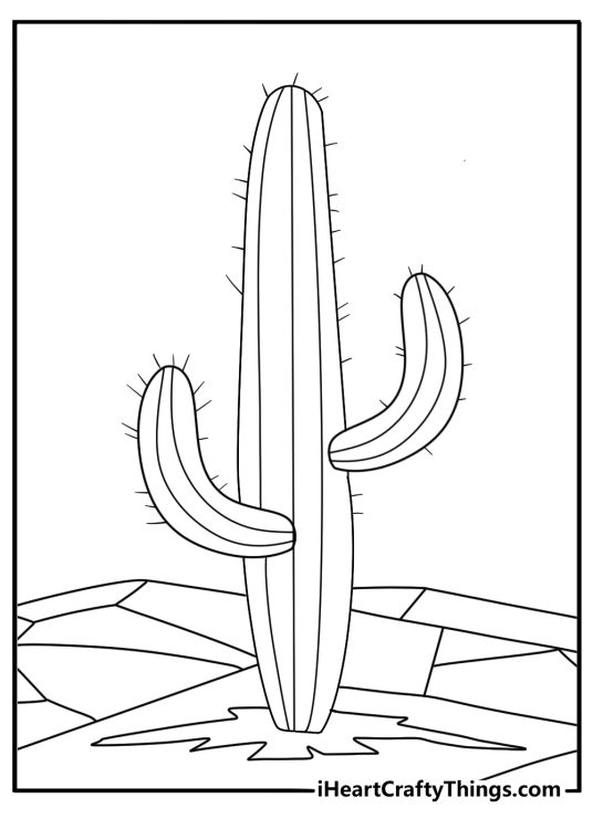 Cactus in cracked dry soil cactus coloring page pdf