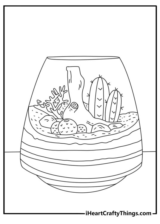 Cactus in glass terrarium with sand layers cactus coloring page pdf