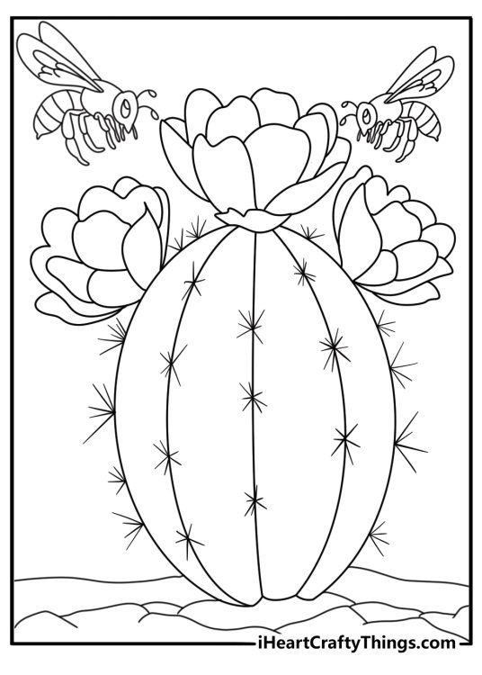 Cactus with bees near flower cactus coloring pages for kids