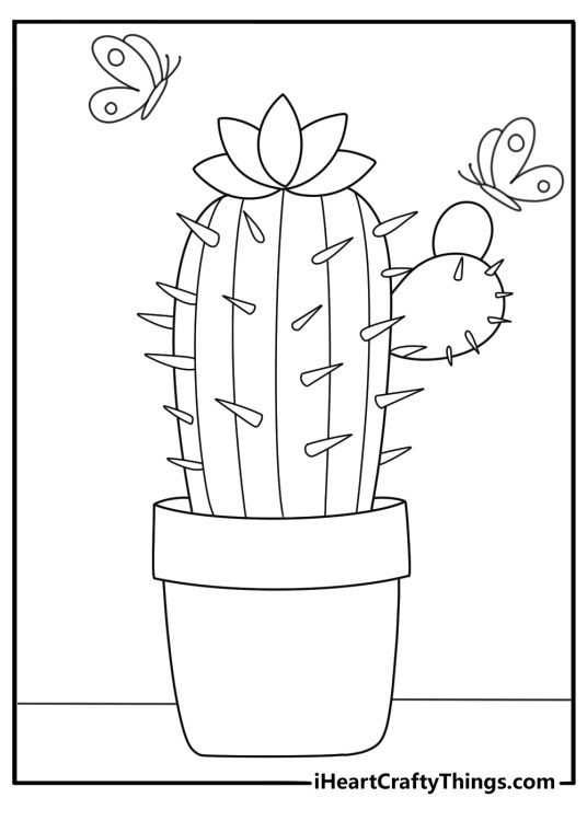 Cactus with butterflies around cactus flower coloring page for kids