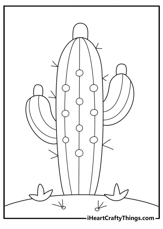 Cactus with fallen needles on ground outline cactus coloring page