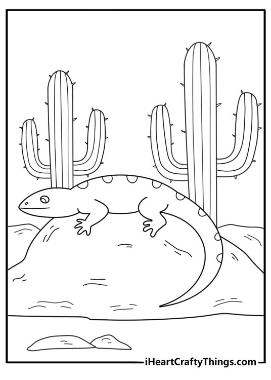Cactus with lizard resting on side cactus coloring pages for kids