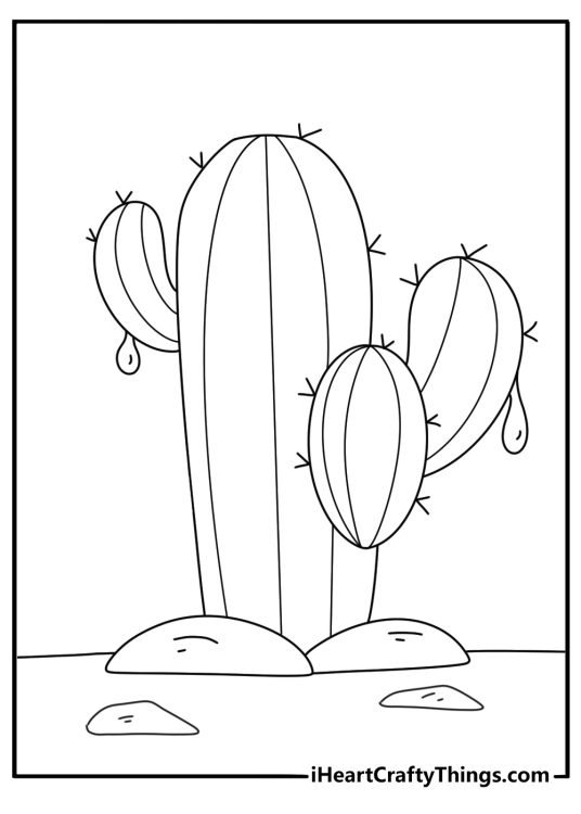 Cactus with raindrops after storm easy cactus coloring sheet