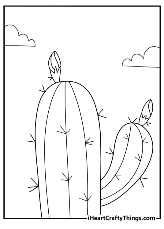 Cactus with small buds before bloom cactus flower coloring page