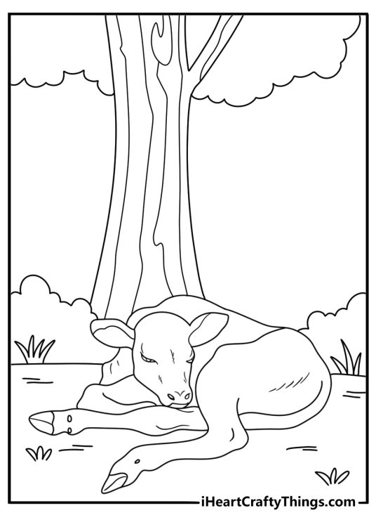 Calf resting under shade tree easy coloring sheet for kids