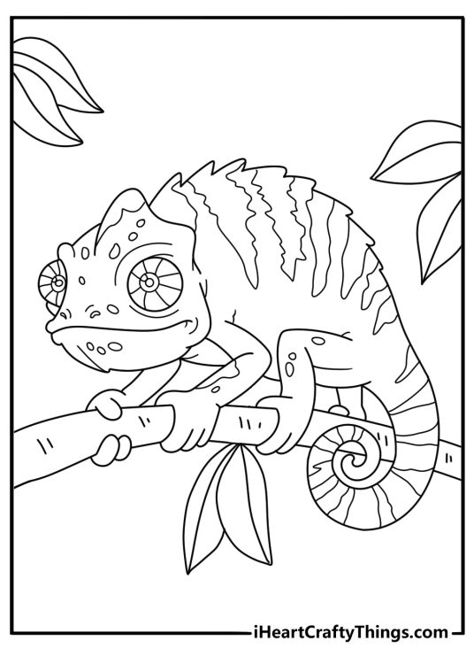 Chameleon on thin branch changing pattern printable coloring page
