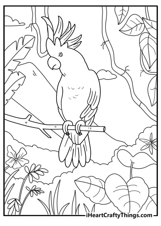 Cockatoo coloring printable crest raised beside tropical flowers detailed for adults