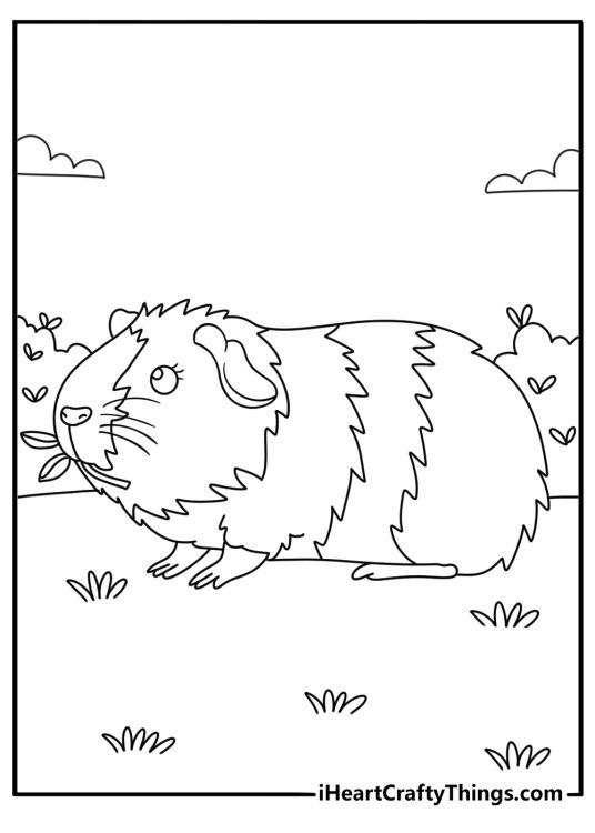 Guinea Pig Coloring Pages
