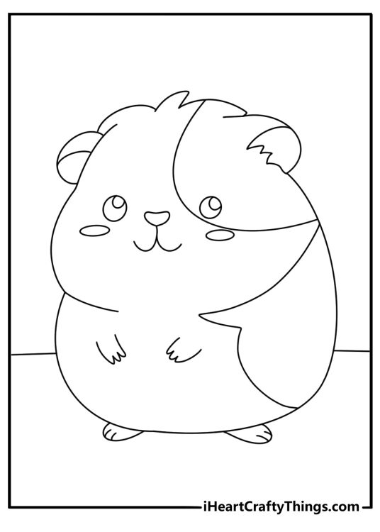 Coloring image for kids presenting guinea pig with a round body large cheeks and small paws
