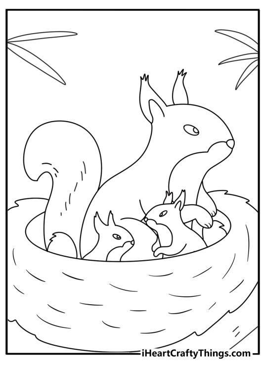 Coloring pages of squirrels with a squirrel family inside a tree nest
