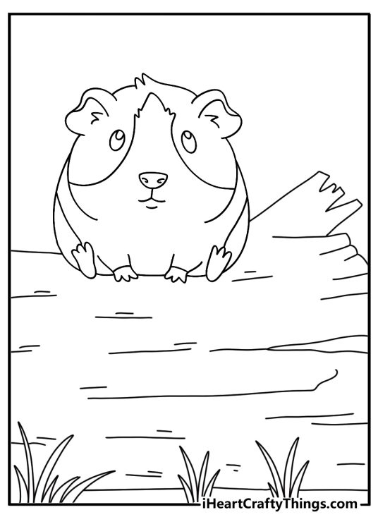 Coloring picture for kids presenting guinea pig sitting on a log of wood in the forest