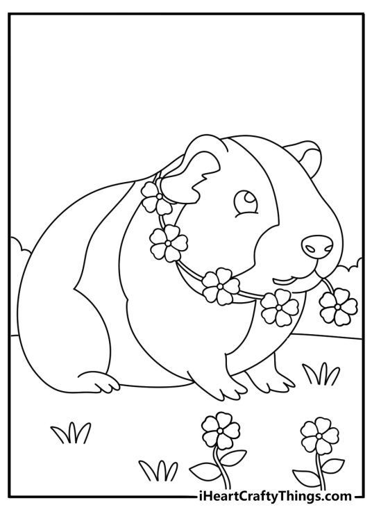 Coloring sheet depicting guinea pig nibbling on the flower necklace it is wearing