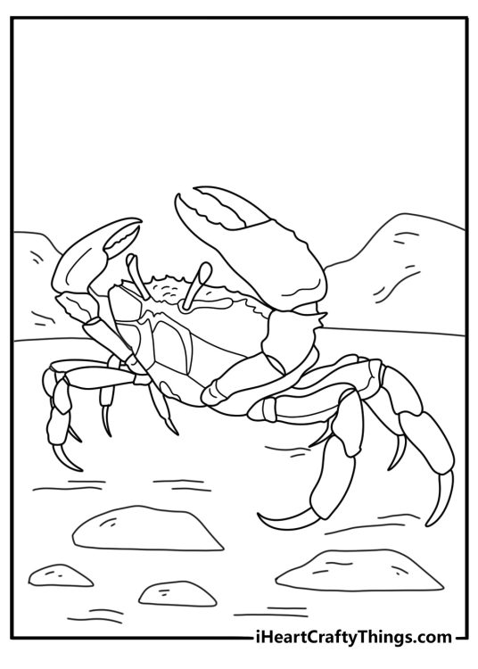Crab coloring page with claws open in defense stance