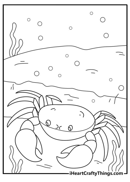 Crab hiding under flat rock shore habitat printable sheet