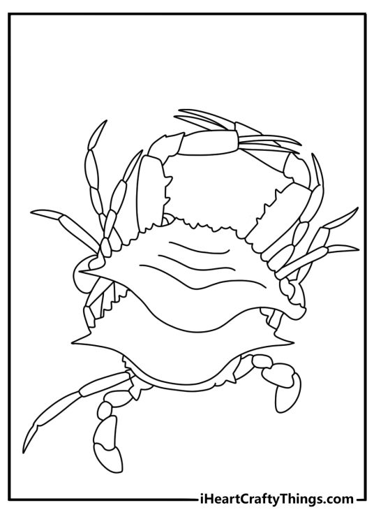 Crab molting with split shell beside body detailed coloring page for adults