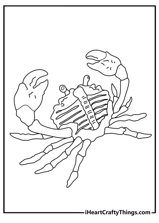 Crab skeleton exoskeleton outline science coloring page