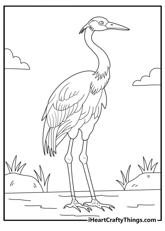 Crane wading in shallow water with tall reeds easy bird coloring page printable for kids and adults