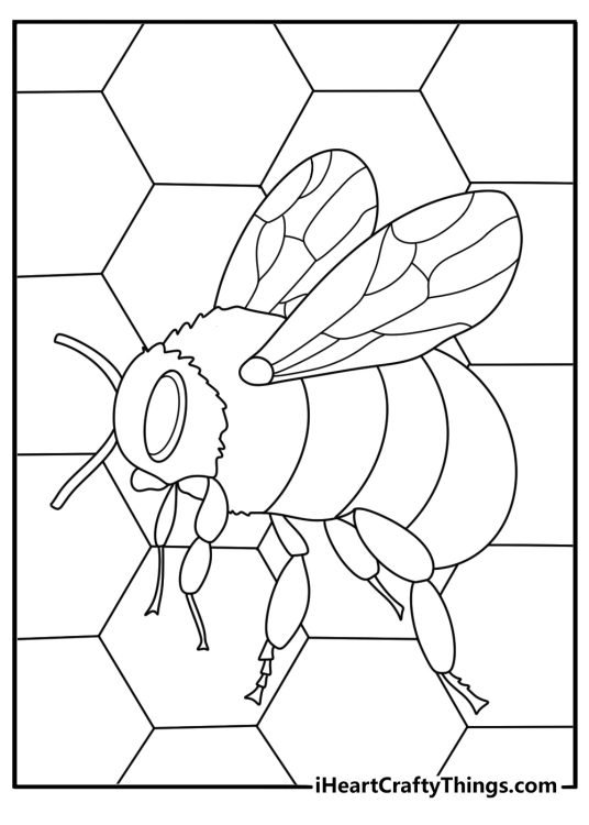 Cute bumblebee insect flying near honeycomb easy coloring page for preschoolers