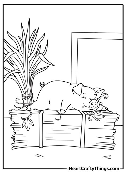 Cute kawaii piglet sleeping on hay bale simple coloring sheet for kids