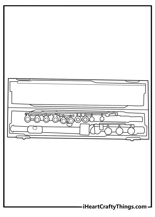 Cute music coloring page flute with open case and cleaning rod for beginners