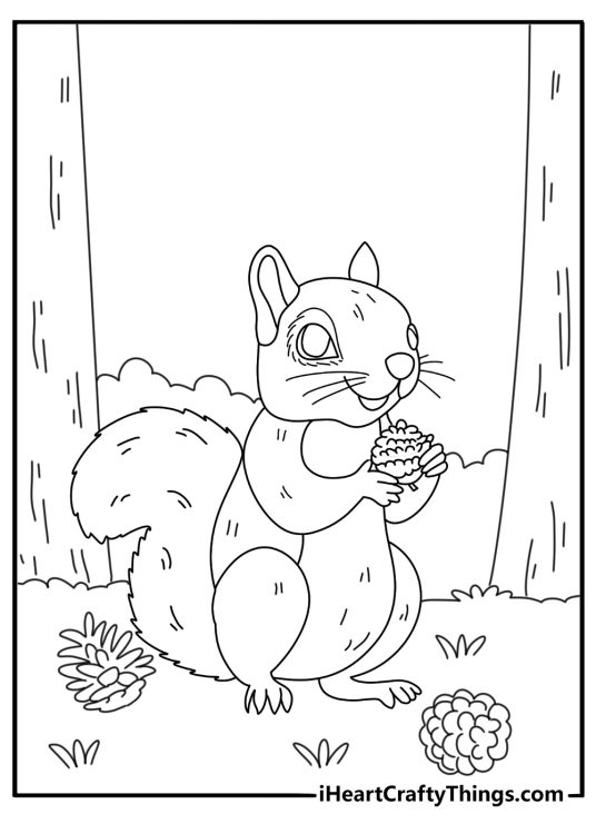 Cute squirrel coloring page with a fluffy tail curled around pinecones