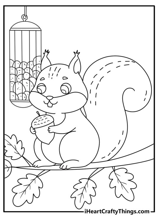 Cute woodland squirrel coloring page with a squirrel near a bird feeder