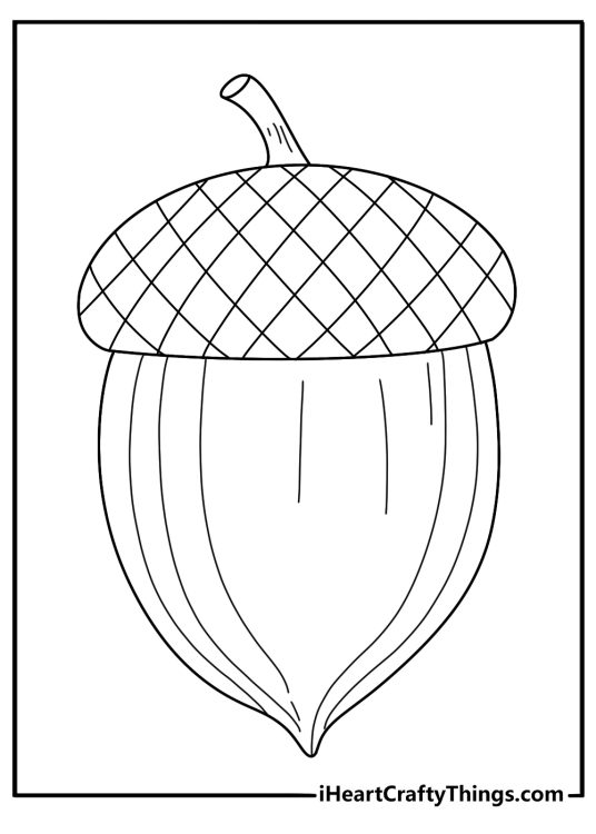 Detailed acorn coloring page for adults with wood grain texture and deep lines