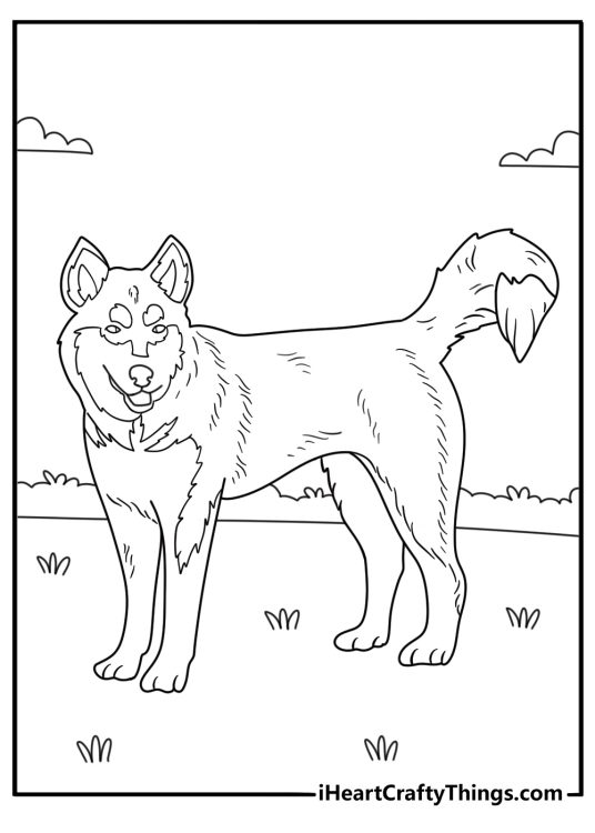 Detailed animal coloring page featuring layered fur around a curled tail