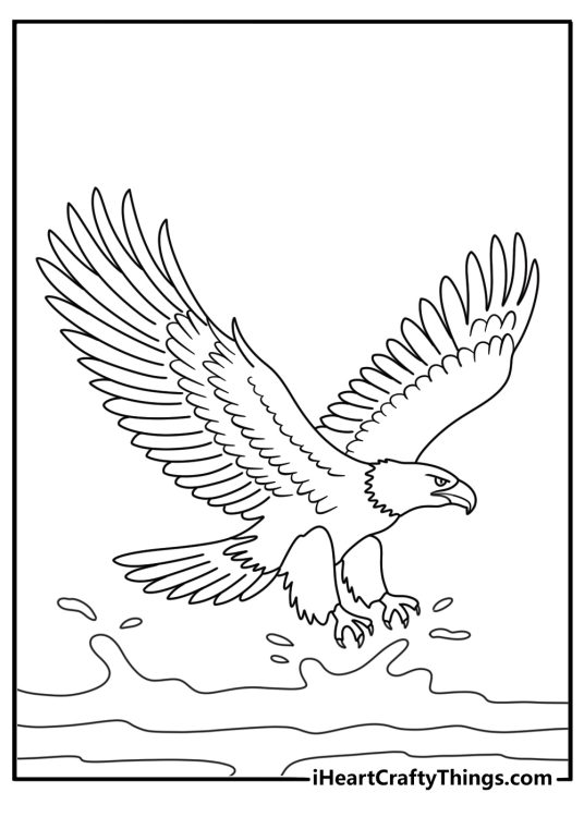 Detailed bald eagle coloring sheet with wing feathers spread wide over water
