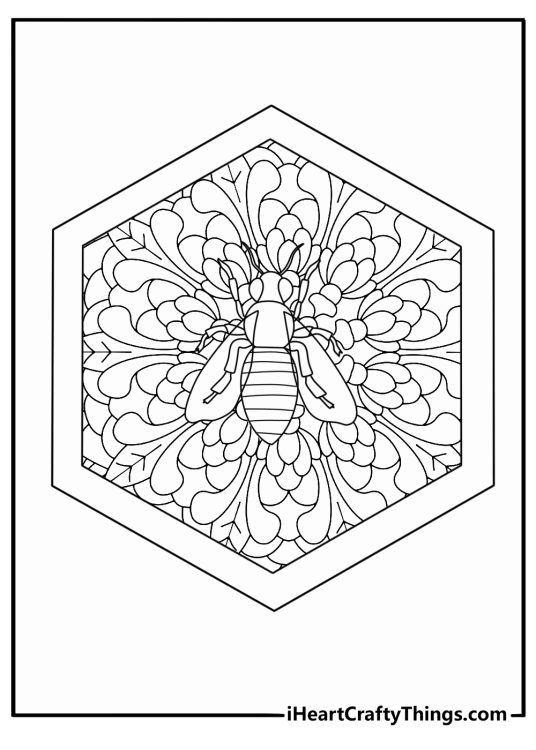 Detailed bee mandala coloring pages design with wings and honeycomb shapes