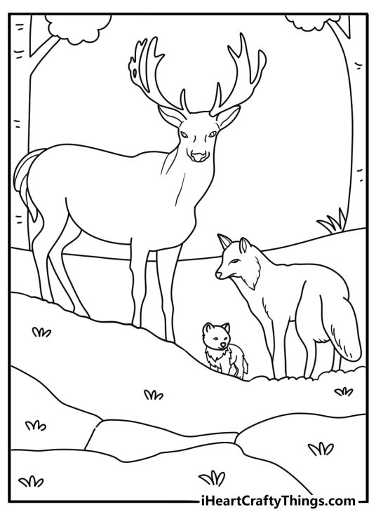 Detailed forest animals poster depicting noble deer posing in the forest with curious fox and friendly wolf cub